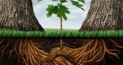 New business developmentgrowth concept with a group of two partner trees coming together as plant roots shaped as an agreement handshake resulting in the creation of a new growing team opportunity.