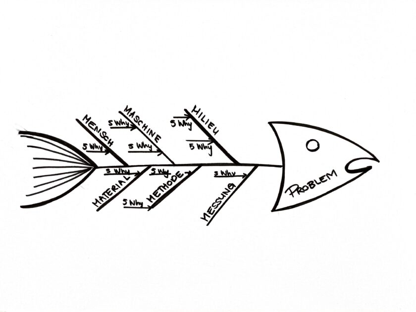 Skizzierte Fischgräte als Symbol für das Fishbone Diagramm