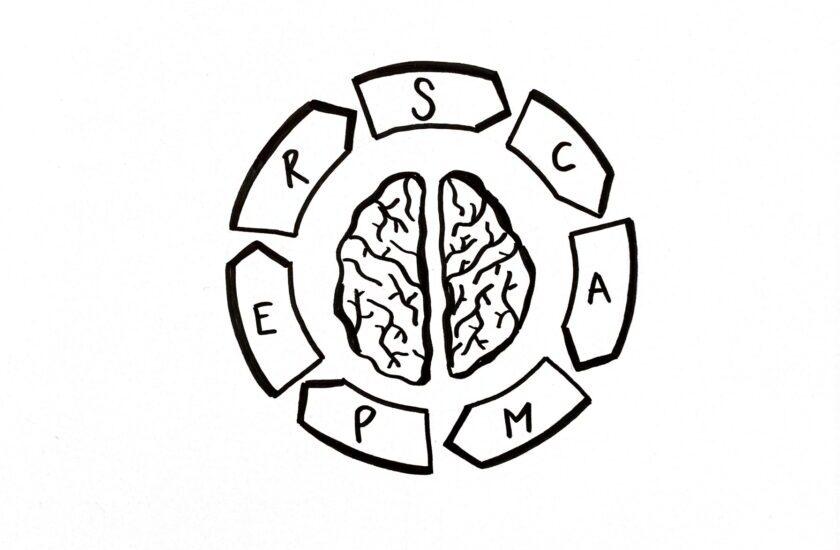 Skizzierte Hirnhälften mit Pfeilen rundherum angeordnet als Symbol für SCAMPER